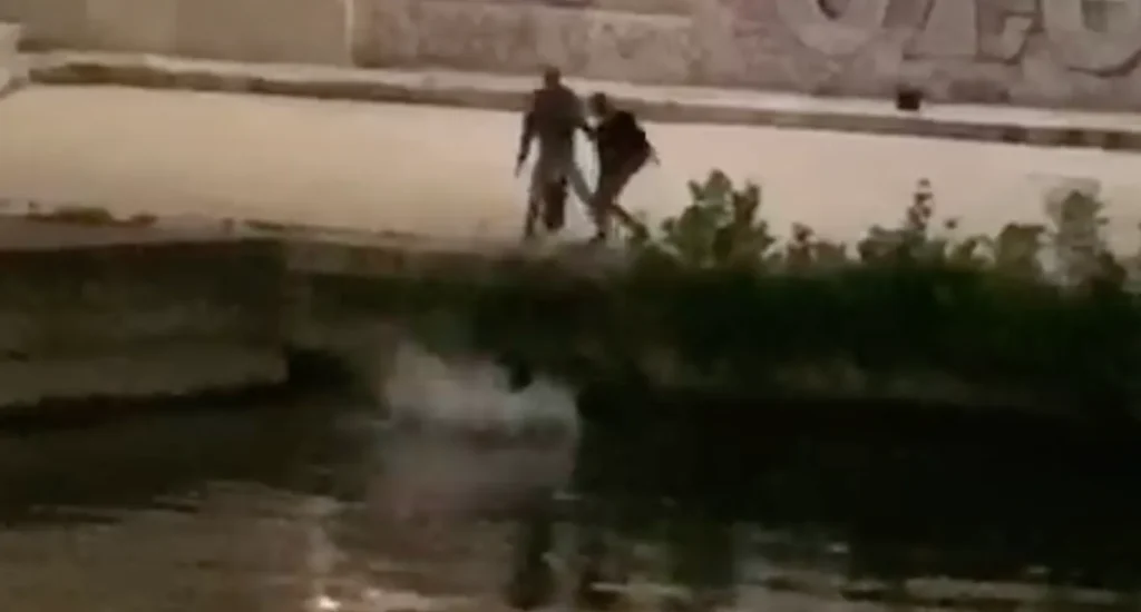 neltevere11