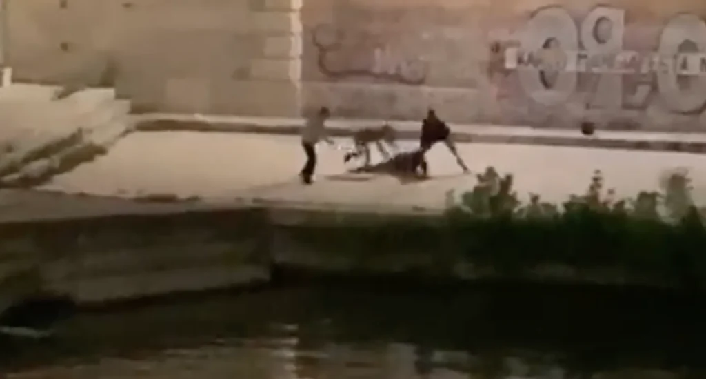 neltevere14